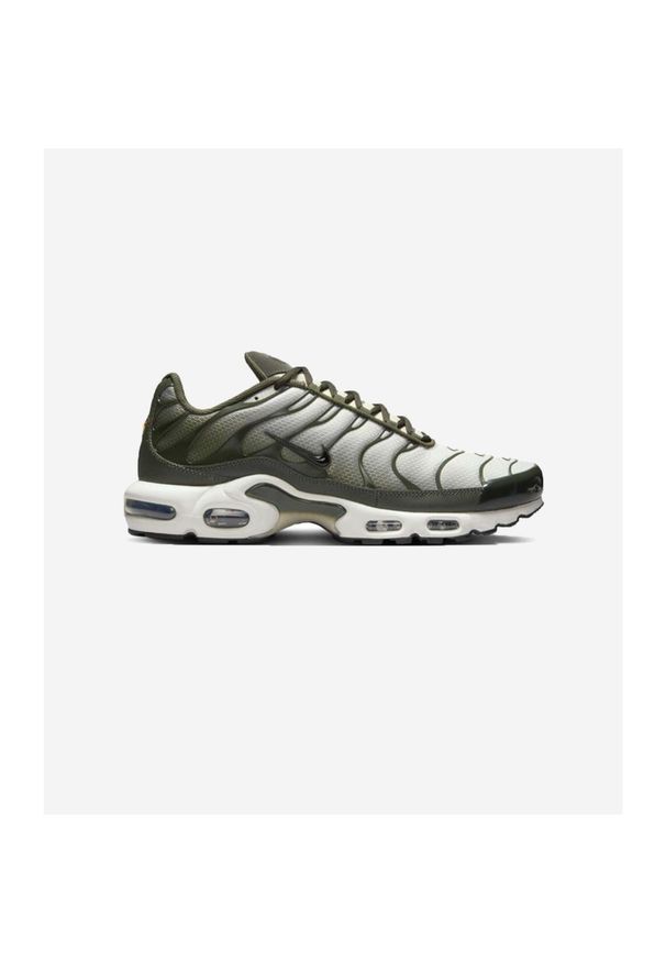 Nike Air Max Plus Sequoia Cargo Khaki. Kolor: zielony. Model: Nike Air Max. Sport: turystyka piesza