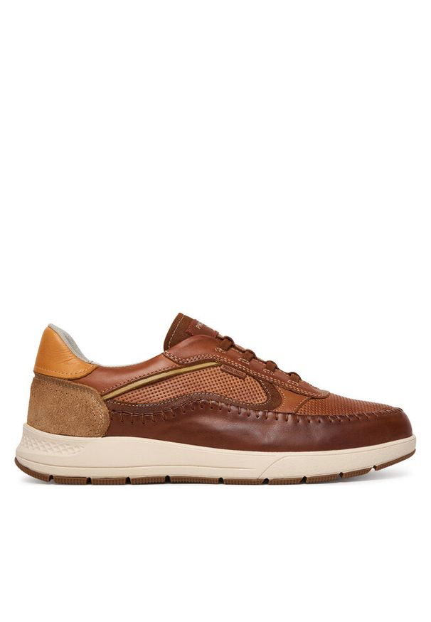 Półbuty Pikolinos. Kolor: brązowy