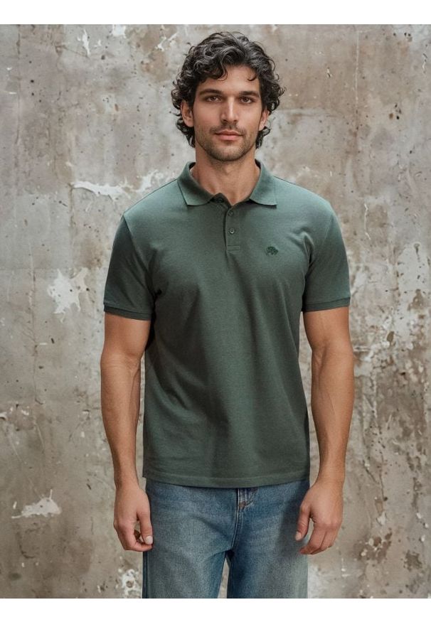 Sinsay - Bawełniana koszulka polo z haftem - zielony. Typ kołnierza: polo. Kolor: zielony. Materiał: bawełna. Wzór: haft