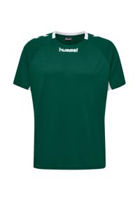 Koszulka sportowa z krótkim rękawem dla dzieci Hummel Core Kids Team Jersey S/S. Kolor: zielony, biały, wielokolorowy. Materiał: jersey. Długość rękawa: krótki rękaw. Długość: krótkie. Sport: piłka nożna