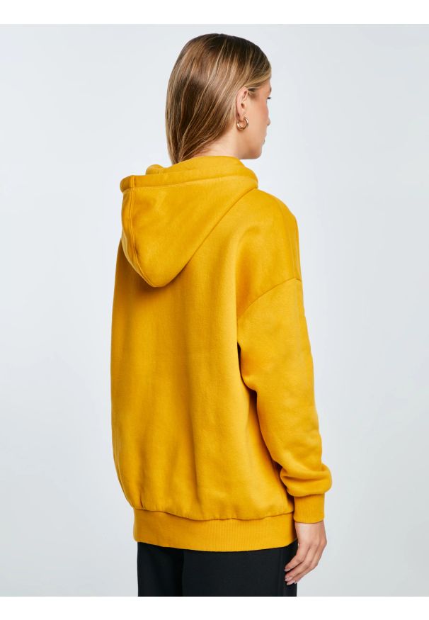 Big-Star - Bluza damska z kapturem z logo BIG STAR żółta Rubialsa 203. Okazja: na uczelnię, na spacer. Typ kołnierza: kaptur. Kolor: złoty. Materiał: dzianina, jeans. Wzór: aplikacja. Styl: elegancki, klasyczny