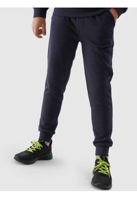 4F JUNIOR - Spodnie dresowe joggery chłopięce. Okazja: na co dzień. Kolor: niebieski. Materiał: dresówka. Styl: casual