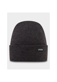 POEDERBAAS - Czapka narciarska dla dorosłych Poederbaas Park Beanie. Kolor: szary. Materiał: akryl. Sezon: zima. Styl: casual, sportowy #1
