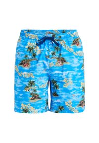 Quiksilver - Szorty kąpielowe dla Mężczyzn EVERYDAY STRAIGHT VOLLEY 17" Niebieski. Kolor: niebieski. Materiał: poliester, materiał. Styl: sportowy