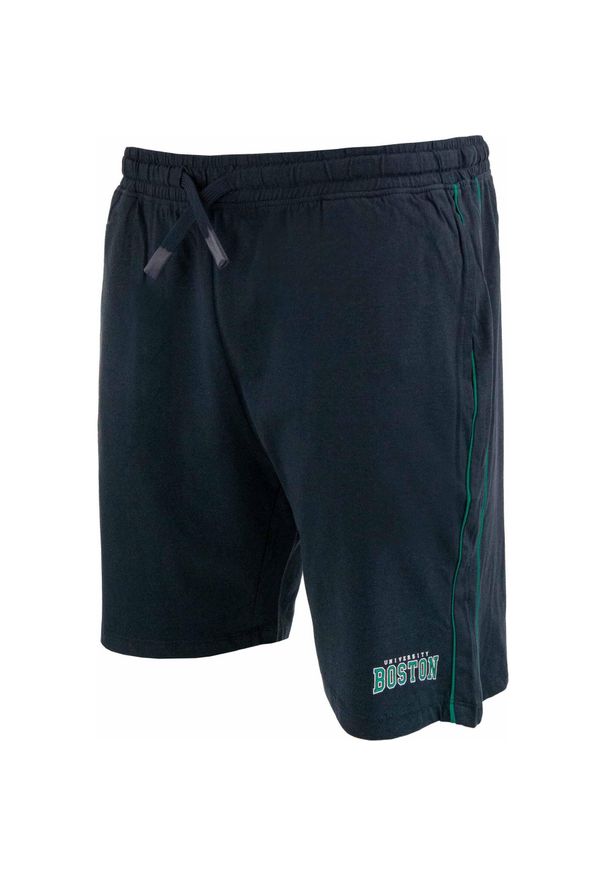 ZFOAM - Spodenki sportowe Niceto męskie – 100% bawełna, oddychające. Kolor: szary. Materiał: bawełna. Długość: krótkie. Sezon: lato