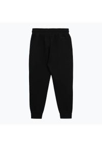 PITBULL - Spodnie męskie Pitbull Dogwood Track Pants. Kolor: czarny