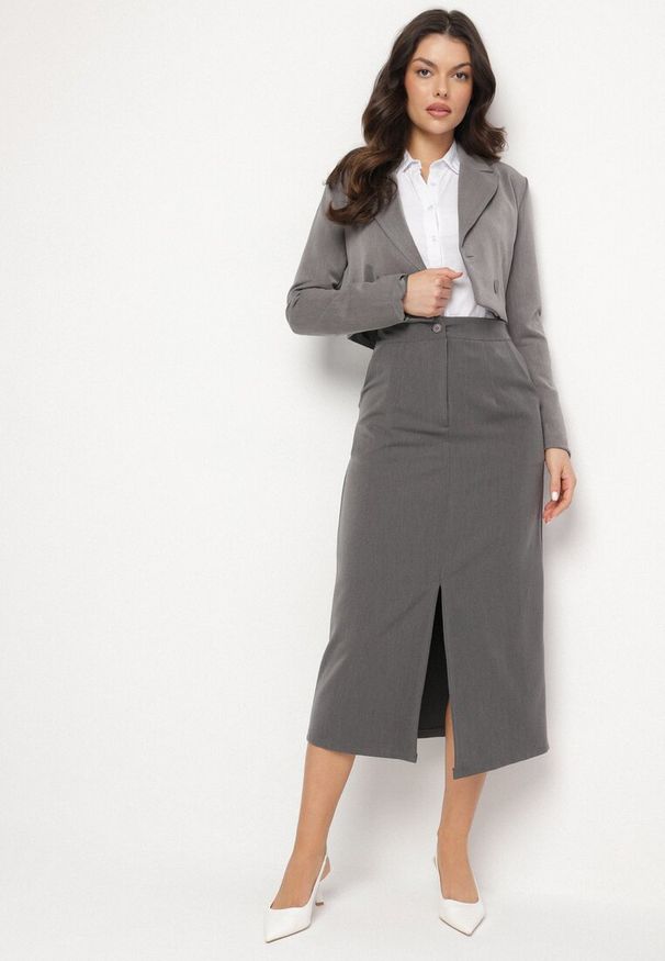 Born2be - Szara Ołówkowa Spódnica z Wiskozą i Wysokim Stanem Ozdobiona Rozcięciem Semariel. Okazja: na spotkanie biznesowe. Stan: podwyższony. Kolor: szary. Materiał: wiskoza. Wzór: aplikacja. Styl: wizytowy, biznesowy, elegancki