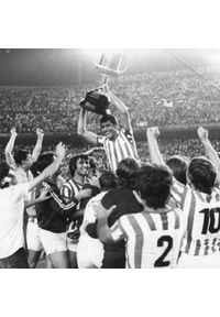 COPA FOOTBALL - Koszulka piłkarska retro - Dorosły - Real Betis 1976-77 - Zielona-Biała. Kolor: zielony. Sport: piłka nożna