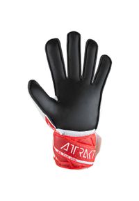 Reusch - Rękawice bramkarskie REUSCH Attrakt Solid. Sport: piłka nożna #2