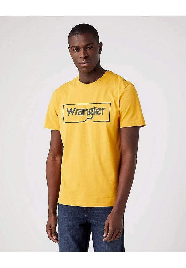 Wrangler - WRANGLER FRAME LOGO TEE MĘSKA KOSZULKA LOGO Golden Spice W70JD3X5O 112320765