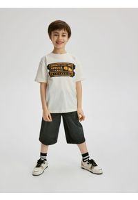 Reserved - T-shirt z nadrukiem - złamana biel. Materiał: dzianina, bawełna. Wzór: nadruk #1