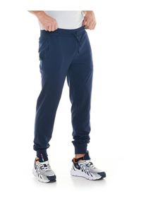 LEONE 1947 APPAREL - Męskie spodnie sportowe z małym logo. Kolor: niebieski. Materiał: tkanina. Sport: fitness