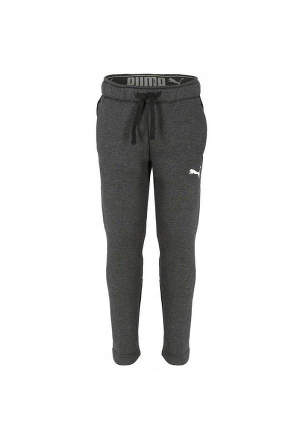 Puma - Spodnie Do Joggingu Dziecięce. Kolor: szary. Sport: bieganie