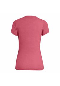 Koszulka turystyczna damska Salewa Graphic Dry T-Shirt. Kolor: różowy. Materiał: poliester, bawełna
