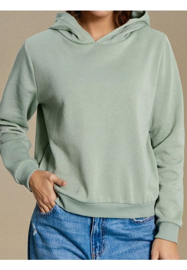 Sinsay - Bluza hoodie basic - zielony. Kolor: zielony