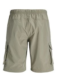 Jack & Jones Szorty materiałowe Cole Ivan 12288611 Zielony Regular Fit. Kolor: zielony. Materiał: syntetyk #4