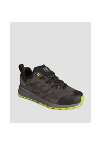 Buty męskie Dolomite CRODA NERA GTX. Kolor: zielony, żółty, szary, wielokolorowy. Sport: turystyka piesza #1