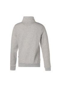 Puma Bluza Ess Fl 84721002. Kolor: szary. Materiał: dresówka