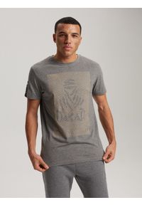 Diverse - T-shirt męski z nadrukiem DKR D 0823 S1824 - szary - Rozmiar: XXL. Kolor: szary. Materiał: wiskoza, bawełna. Wzór: nadruk
