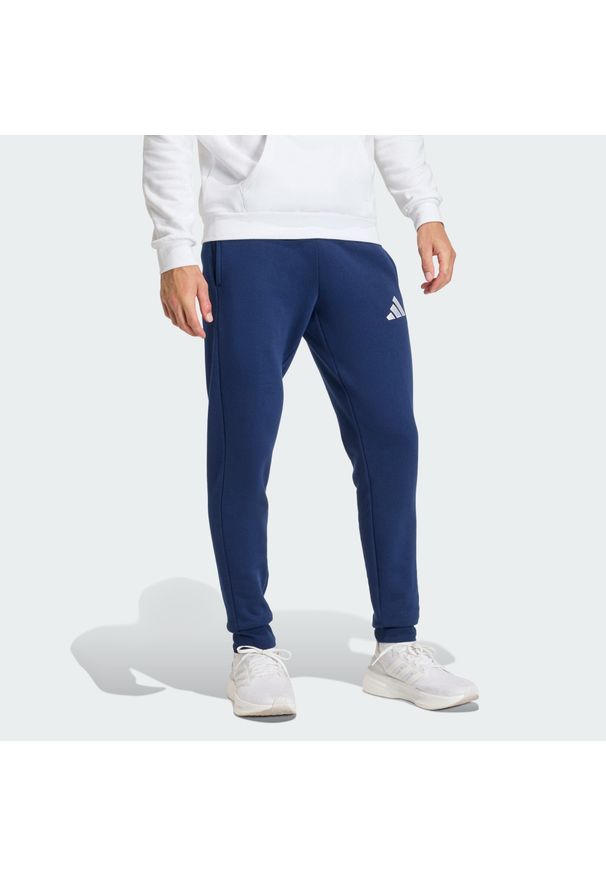 Adidas - Spodnie dresowe Entrada 26. Kolor: niebieski, wielokolorowy, biały. Materiał: dresówka. Sport: piłka nożna