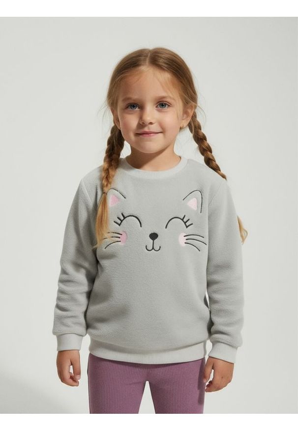 Sinsay - Bluza crewneck z haftem - szary. Kolor: szary. Wzór: haft