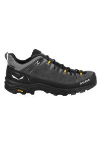 Buty Trekkingowe Męskie Salewa Alp Trainer 2 Gtx. Kolor: czarny. Sezon: zima