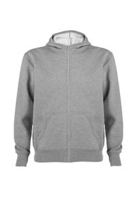 ROLY - Męska Bluza Z Kapturem Montblanc Heather Full Zip. Typ kołnierza: kaptur. Kolor: szary