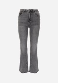 Renee - Szare Jeansy Flare Regular Waist z Bawełną i Dodatkiem Wiskozy Arritina. Okazja: na co dzień. Kolor: szary. Długość: krótkie. Styl: retro, klasyczny, casual #4