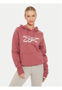 Reebok Bluza Graphic OTH Hoodia 100202148 Brązowy Regular Fit. Kolor: brązowy. Materiał: bawełna