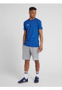 Spodenki sportowe męskie Hummel Go Cotton Bermuda Shorts. Kolor: szary