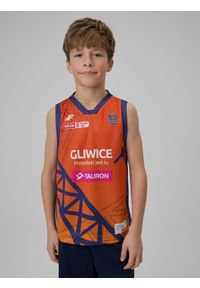 4f - 4F Koszulka meczowa replika domowa z sezonu 2024/25 dziecięca 4F x GTK Gliwice - multikolor 98/104. Typ kołnierza: dekolt w serek. Kolor: wielokolorowy. Materiał: włókno, dzianina, syntetyk, materiał. Wzór: gładki, ze splotem, nadruk. Sezon: lato. Sport: fitness, koszykówka #1