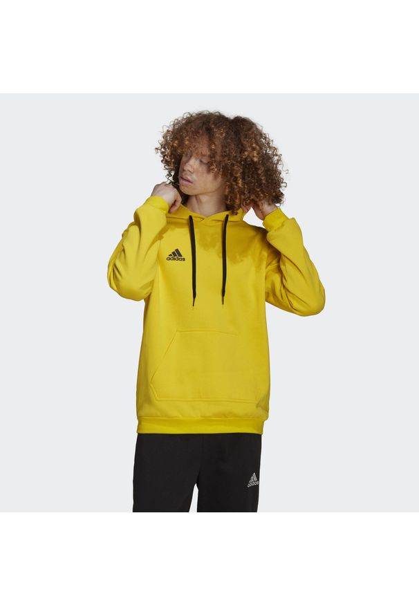 Bluza do piłki nożnej męska Adidas Entrada 22. Kolor: żółty, wielokolorowy, czarny. Materiał: bawełna, poliester