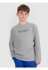 4f - 4F Longlseeve regular z nadrukiem chłopięcy - szary 164 (13-14 lat). Okazja: na co dzień. Kolor: szary. Materiał: bawełna, materiał, jersey. Długość rękawa: długi rękaw. Długość: długie. Wzór: nadruk. Sezon: lato. Styl: klasyczny, casual, sportowy #1