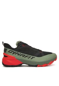 Buty do biegania Dynafit. Kolor: zielony