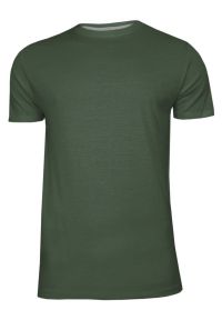 Zielony Bawełniany T-Shirt Męski Bez Nadruku -Brave Soul- Oliwkowa Koszulka, Krótki Rękaw, Basic. Okazja: na co dzień. Kolor: wielokolorowy, zielony, oliwkowy. Materiał: bawełna. Długość rękawa: krótki rękaw. Długość: krótkie. Sezon: lato, wiosna. Styl: casual #1