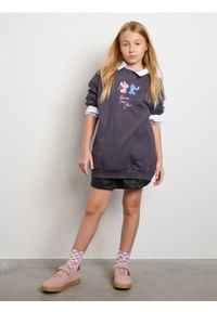 Sinsay - Bluza Stitch - szary. Kolor: szary. Materiał: bawełna. Wzór: nadruk #1