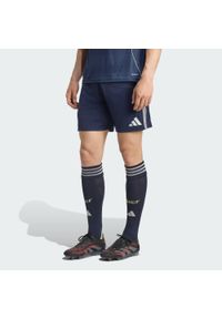 Adidas - Wyjazdowe szorty Real Madryt 25/26. Kolor: szary, niebieski, wielokolorowy. Sport: piłka nożna