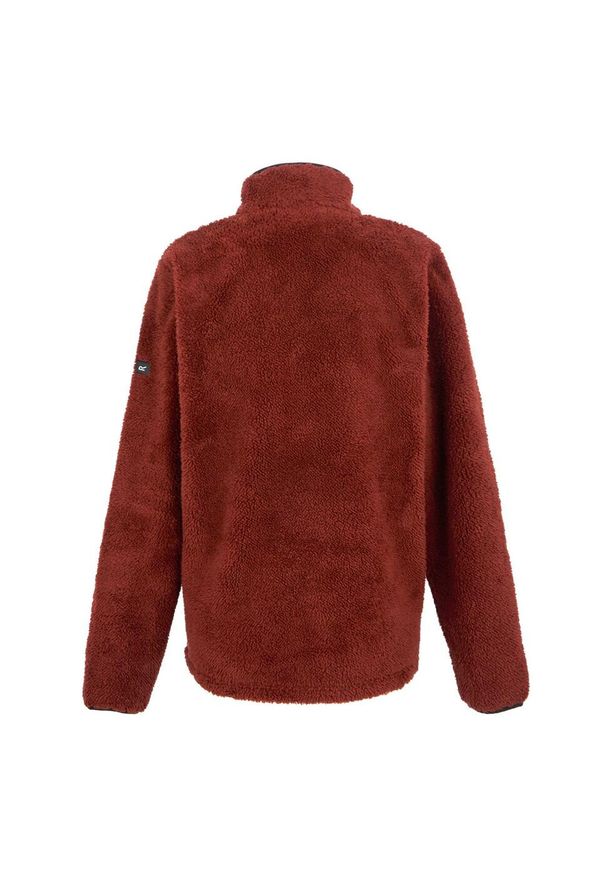 Regatta - Męska Bluza Polarowa Midoor Fluffy Fleece Jacket. Kolor: czerwony. Materiał: polar. Sezon: zima
