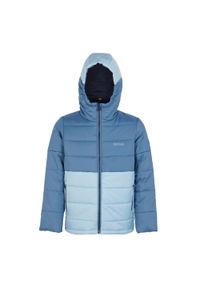 Regatta - Ocieplana Kurtka Dziecięca Lofthouse VIII. Kolor: szary, niebieski, wielokolorowy #1