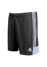 Adidas - Krótkie spodenki piłkarskie adidas Tastigo 19 Męskie. Kolor: czarny. Długość: krótkie. Sport: piłka nożna