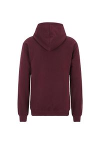 Bluza sportowa męska Fila Brunssum. Typ kołnierza: kaptur. Kolor: biały, brązowy, czerwony, wielokolorowy