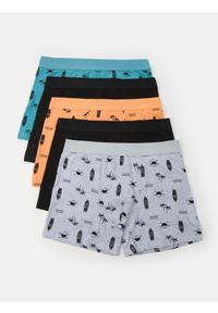 Sinsay - Bokserki Long 5 pack - wielobarwny