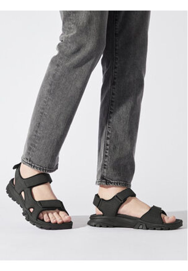 Timberland Sandały Lincoln Peak Strap Sandal TB0A5T5G0151 Czarny. Kolor: czarny. Materiał: skóra