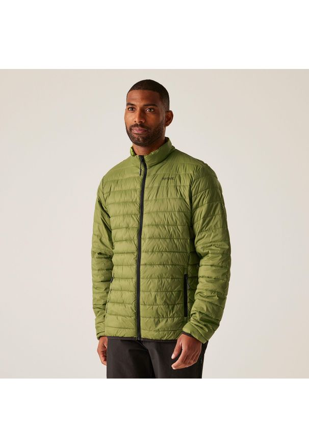 Regatta - Męska pikowana kurtka Hillpack. Kolor: zielony. Materiał: puch, poliamid. Sport: turystyka piesza