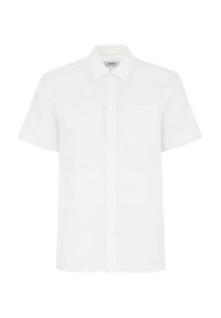 Ochnik - Kremowa koszula z krótkim rękawem męska. Kolor: biały. Materiał: len. Długość rękawa: krótki rękaw. Długość: krótkie. Wzór: aplikacja #3