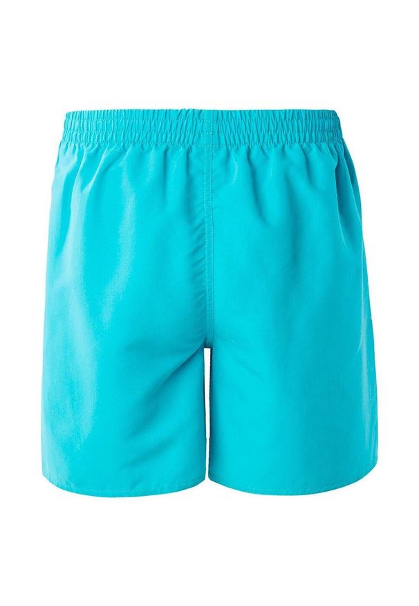 AquaWave - Męskie Spodenki Kąpielowe Aogash. Kolor: zielony, niebieski, wielokolorowy. Styl: sportowy