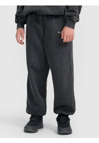 4f - 4F Spodnie dresowe joggery chłopięce - szare 134 (8-9 lat). Okazja: na co dzień. Kolor: szary. Materiał: dresówka. Wzór: ze splotem, nadruk, gładki. Sezon: lato. Styl: młodzieżowy, vintage, sportowy, casual #2