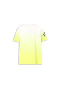 Koszulka sportowa dla dzieci Lemon Explore WL4 z krótkim rękawem Loose Fit. Kolor: zielony. Materiał: poliester, elastan. Długość rękawa: krótki rękaw. Długość: krótkie. Sport: fitness