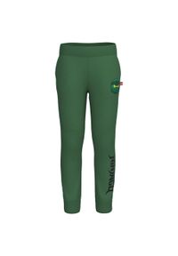 LEGO - Spodnie polarowe dziecięce Lego Peiter 101. Kolor: zielony. Materiał: polar. Sezon: lato. Sport: turystyka piesza #1