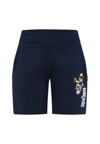 LEGO Wear - Spodenki trekkingowe dziecięce LEGO Lwparker 307. Kolor: niebieski